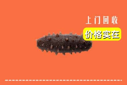 吴起县回收海参