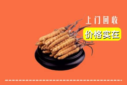 吴起县回收冬虫夏草
