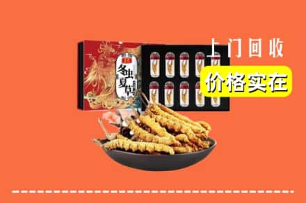 吴起县回收虫草